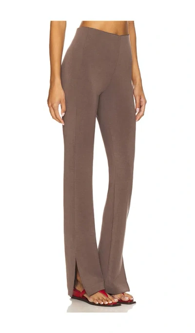 Geel Aria Pant In Brown