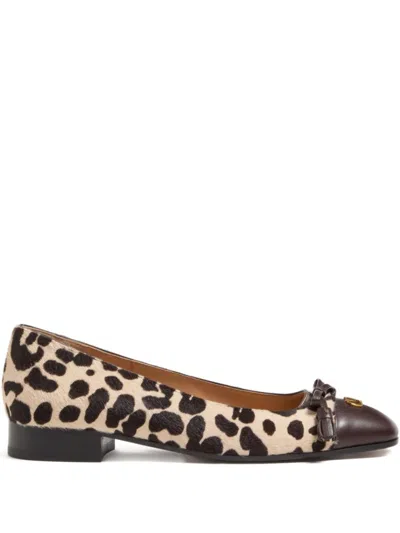 Valentino Garavani Ballerina Leather-trimmed Leopard-print Calf Hair Flats In Multi