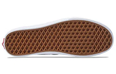 Vans Authentic 'blur Check' In Multi