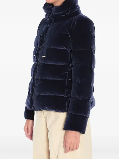 Herno Velvet Quilted Drawstring High Collar Jacket In Blue