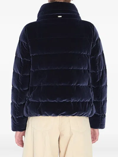 Herno Velvet Quilted Drawstring High Collar Jacket In Blue