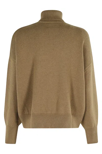 Isabel Marant Étoile Isabel Marant Etoile Nashas Turtleneck Sweater With Embroidered Logo In Brown