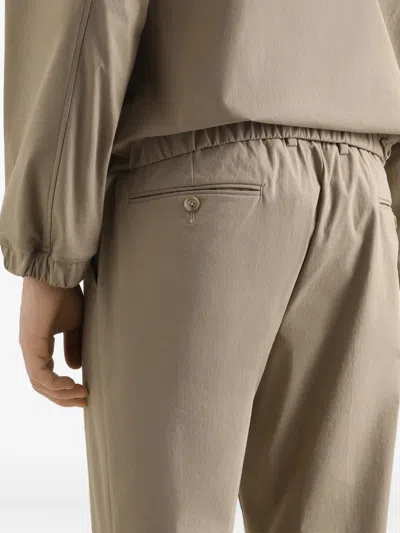 Dolce & Gabbana Trousers With Back Pockets And Belt Loops In Brown