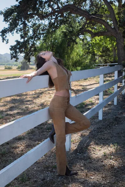 Pf25 Element Pant In Brown