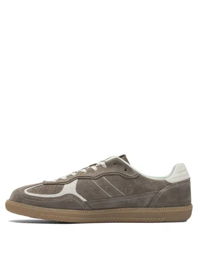 Alohas Tb.490 Rife Taupe Leather Sneakers In Multi