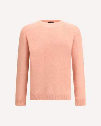 Roberto Collina Merino Wool Sweater In Pink