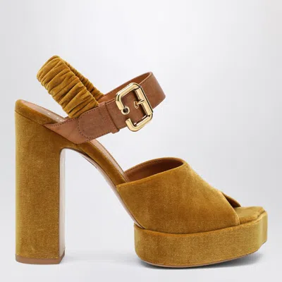 Chloé Chloe' Women Aria Velvet Sandals In Yellow