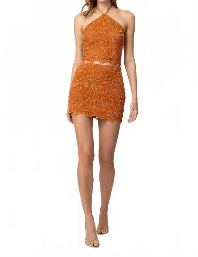 Line And Dot Isabella Halter Top In Rust In Brown