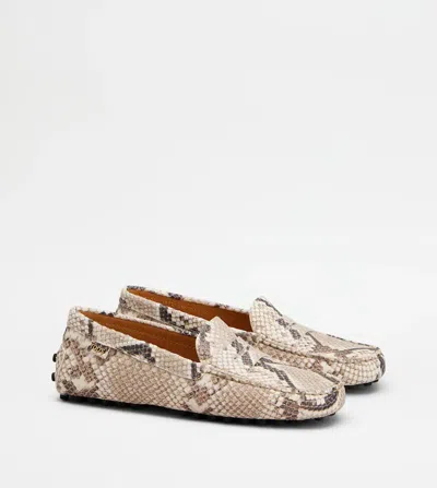 Tod's Snake-effect Leather Driving Loafers In Animal Print