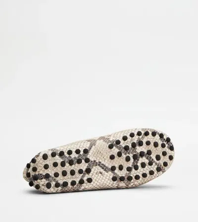 Tod's Snake-effect Leather Driving Loafers In Animal Print