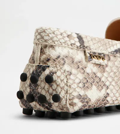 Tod's Snake-effect Leather Driving Loafers In Animal Print