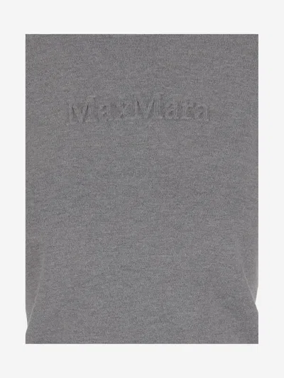 Max Mara Viscose Blend Knit In Gray