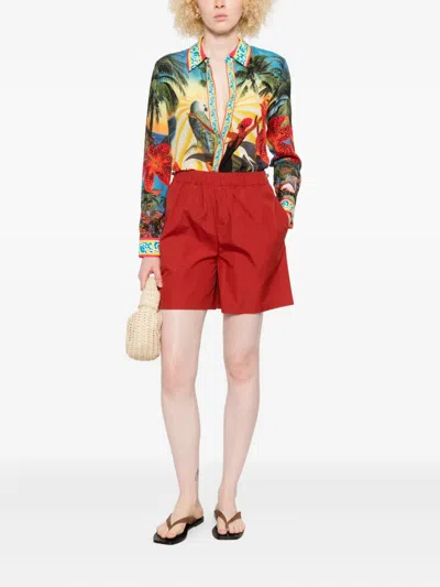 Alice And Olivia Island Dreams Willa Placket Top In Green