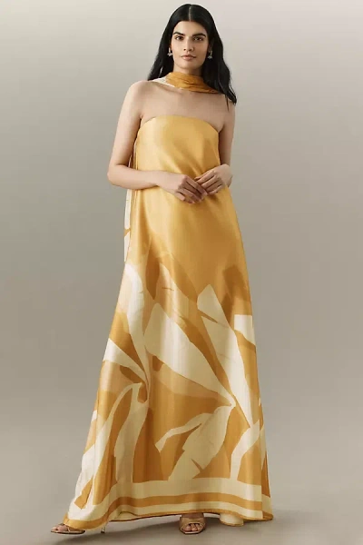 Diarrablu Tubi Cape Maxi Dress In Yellow