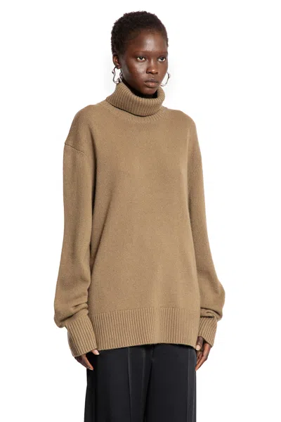 Totême Toteme Pre Pashmere Turtle Neck Jumper In Brown
