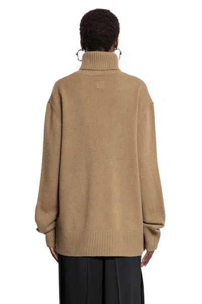 Totême Toteme Pre Pashmere Turtle Neck Jumper In Brown