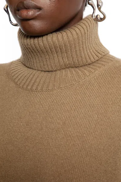 Totême Toteme Pre Pashmere Turtle Neck Jumper In Brown