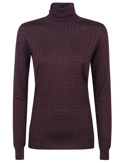 Elisabetta Franchi Tricot Sweater In Brown