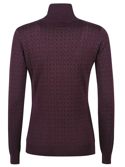 Elisabetta Franchi Tricot Sweater In Brown