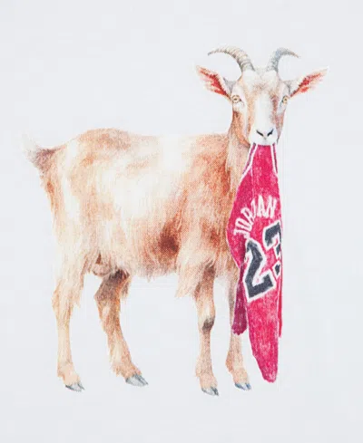 Jordan Boys' Mj Flt Goat Short Sleeved Crewneck Tee - Big Kid In White