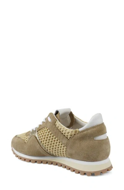 Zigi Porsh Sneaker In Multi
