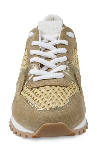 Zigi Porsh Sneaker In Multi