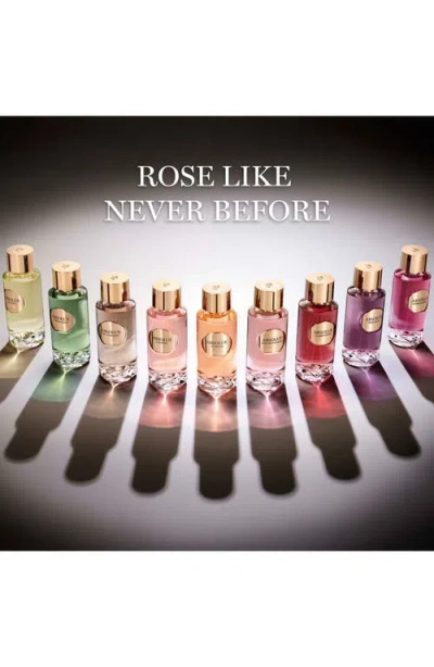 Lancôme Absolue Les Parfums Forbidden Rose Eau De Parfum 3.4 Oz. In Transparent