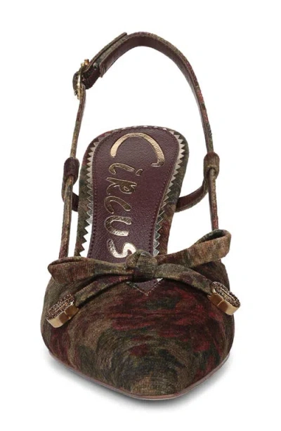 Circus Ny By Sam Edelman Women's Monica Pointed-toe Slingback Bow Pumps In Multi