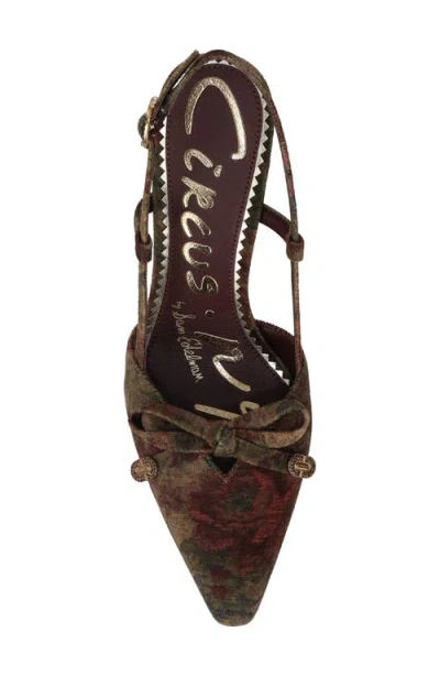 Circus Ny By Sam Edelman Women's Monica Pointed-toe Slingback Bow Pumps In Multi