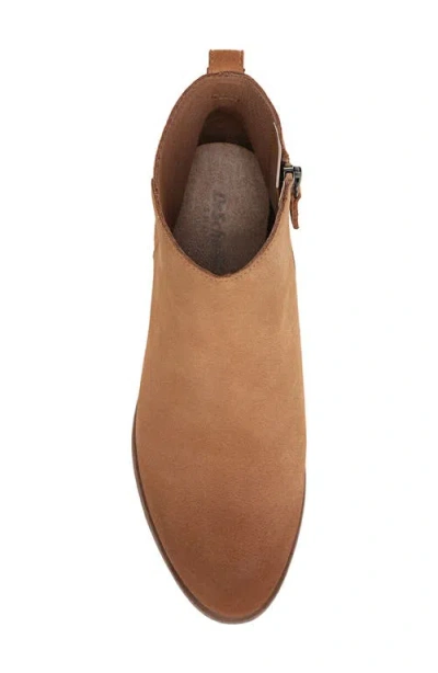 Dr. Scholl's Women's Anya Stacked Block Heel Zip Short Boots In Brown