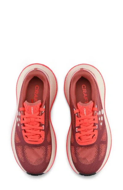 Craft Xplor Hybrid 2 Running Shoe In Multi