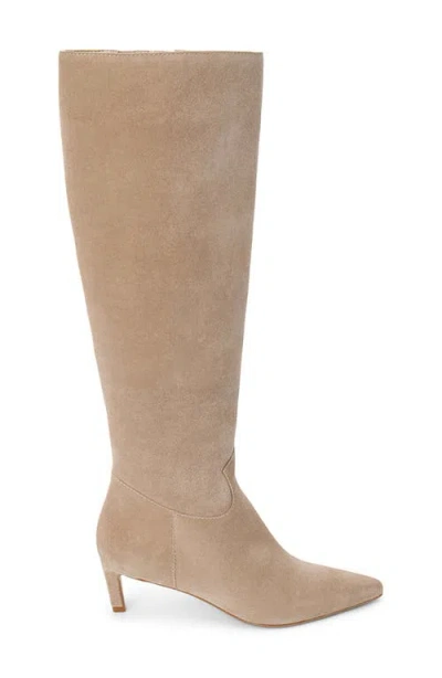 Matisse Elevate Pointed Toe Knee High Kitten Heel Boot In Neutral