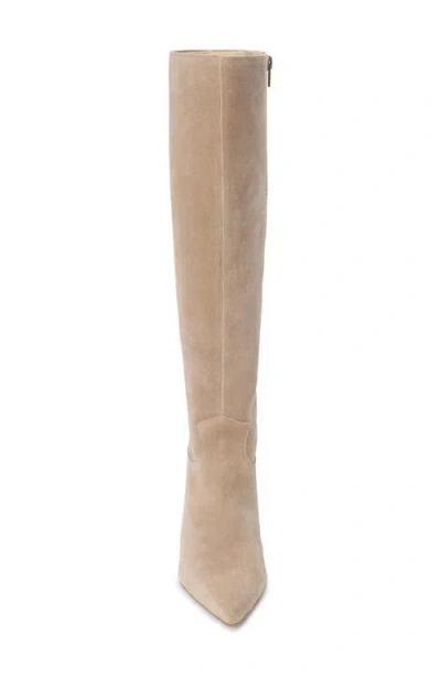 Matisse Elevate Pointed Toe Knee High Kitten Heel Boot In Neutral