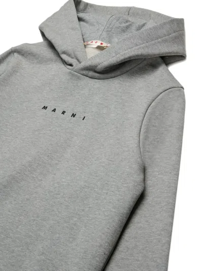 Marni Kids Gray Long-sleeved Hoodie In Gray