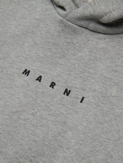 Marni Kids Gray Long-sleeved Hoodie In Gray