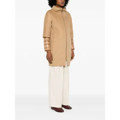 Herno Coat In Brown