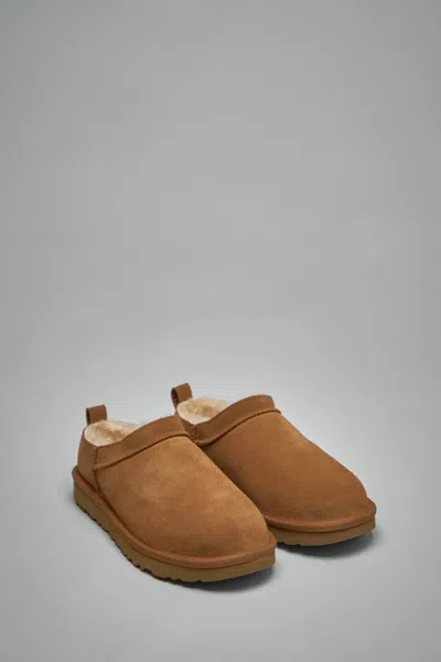 Ugg Micro Micro Micro Micro Micro Micro Micro Micro Micro Micro Micro Micro Micro Micro Micro Micro In Brown