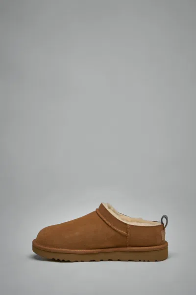 Ugg Micro Micro Micro Micro Micro Micro Micro Micro Micro Micro Micro Micro Micro Micro Micro Micro In Brown