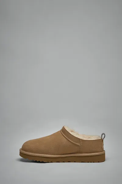 Ugg Classic Micro Suede Sheepskin Boots In Brown