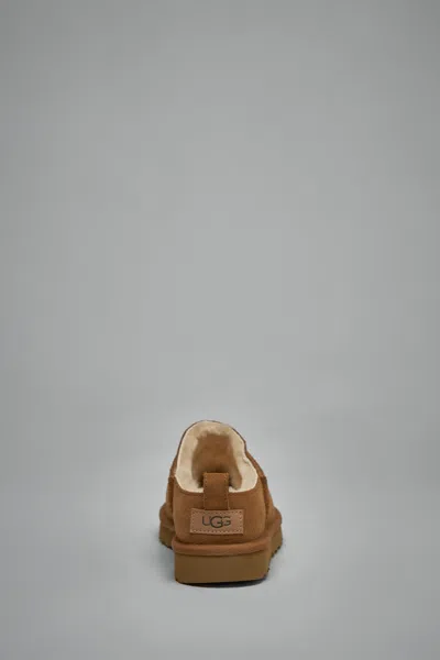 Ugg Micro Micro Micro Micro Micro Micro Micro Micro Micro Micro Micro Micro Micro Micro Micro Micro In Brown