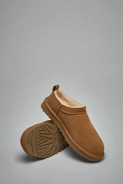 Ugg Micro Micro Micro Micro Micro Micro Micro Micro Micro Micro Micro Micro Micro Micro Micro Micro In Brown
