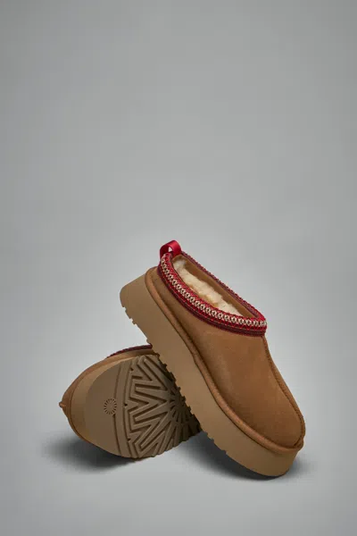 Ugg Tazz Boots In Brown