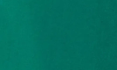 Dr2 By Daniel Rainn Tie Front Shorts In Green