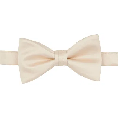 Brooklyn Brigade Solid Satin Pre-tied Bow Tie In Champagne