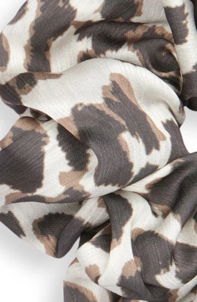 Tasha Assorted 3-pack Leopard Print Scrunchies In Animal Print