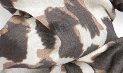 Tasha Assorted 3-pack Leopard Print Scrunchies In Animal Print