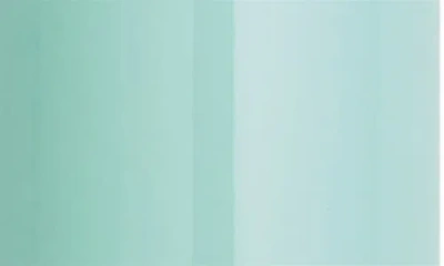 Sweed Powder Brush In Transparent