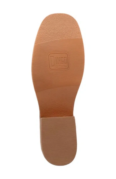 Dingo Dutton Tall Boot In Burgundy