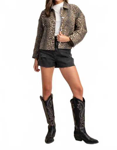Gigio Leopard Print Jacket In Brown In Multi