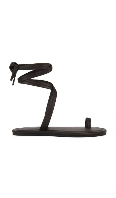 St Agni Lace-up Leather Sandals In Brown